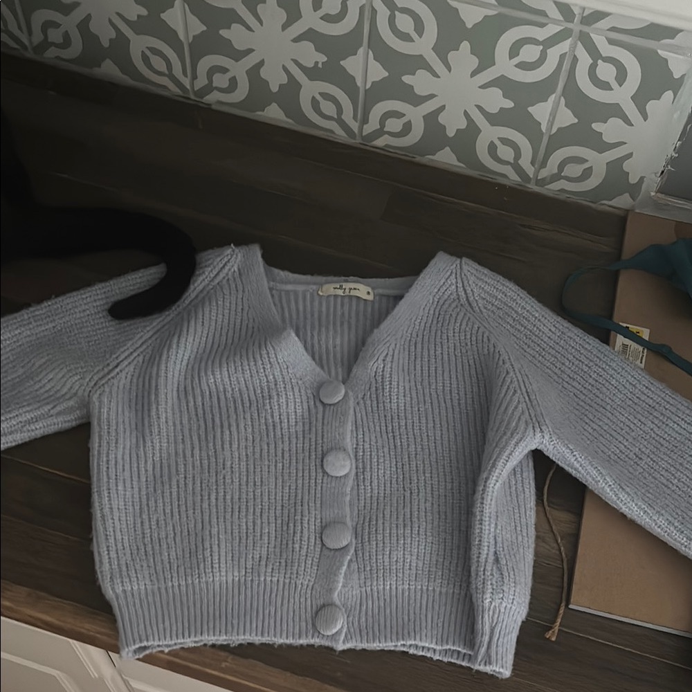 Stylish blue Women's Sweater